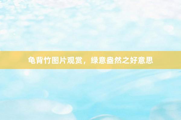 龟背竹图片观赏，绿意盎然之好意思