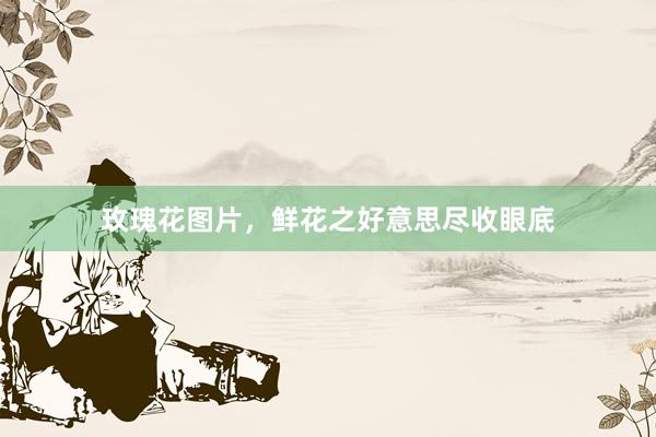 玫瑰花图片，鲜花之好意思尽收眼底