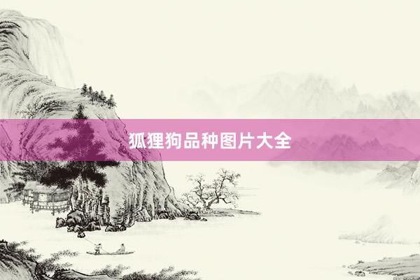 狐狸狗品种图片大全